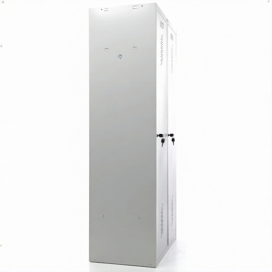 Шкаф ПРАКТИК LS-21-80D